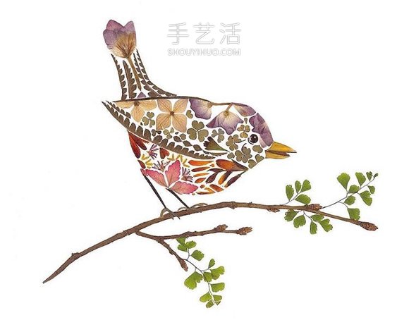 用压制的花朵和叶子创作精美的动物插图 -  www.shouyihuo.com