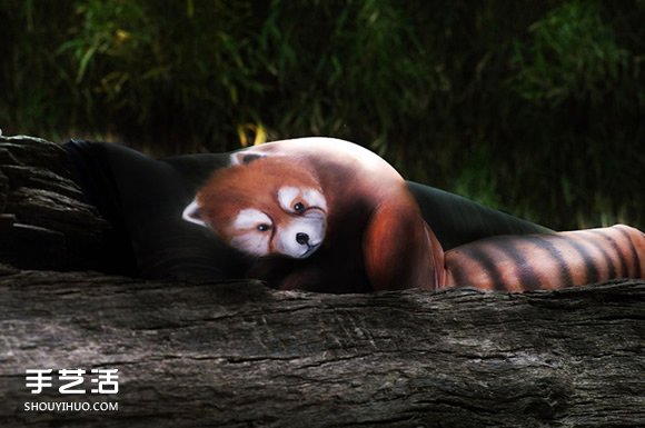 模特儿变形记！这些逼真的动物居然是人体彩绘 -  www.shouyihuo.com