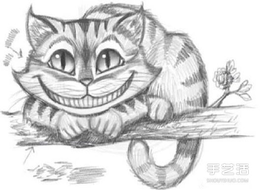 《爱丽丝梦游仙境》柴郡猫铅笔素描教程图片 -  www.shouyihuo.com