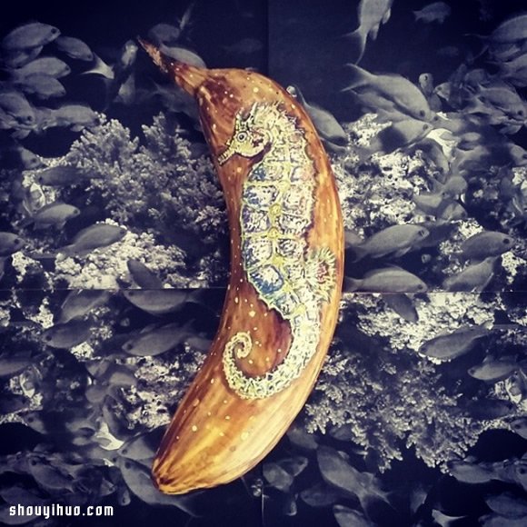 Elisa Roche 令人惊艳的香蕉彩绘香蕉画 -  www.shouyihuo.com