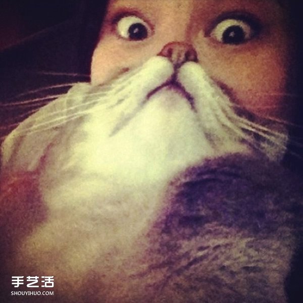 好笑的自拍照片 利用宠物猫拍出可爱大胡子 -  www.shouyihuo.com