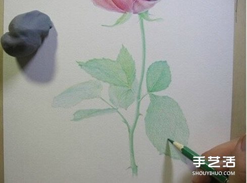 彩铅玫瑰花的画法步骤 玫瑰花彩色铅笔画教程 -  www.shouyihuo.com